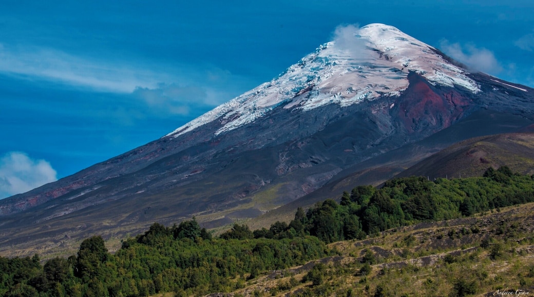 Osorno volcano as seen from the #NationalPark Vincente Perez Rosalez. First sunny day after many rainy cloudy days, it was worth waiting.