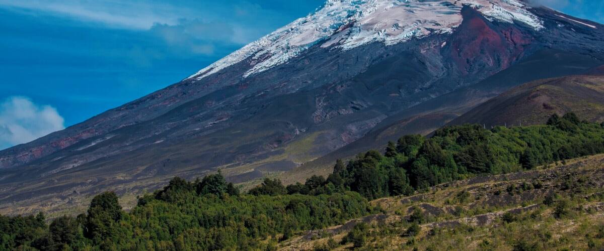A snow-capped mountain with a forested foreground.