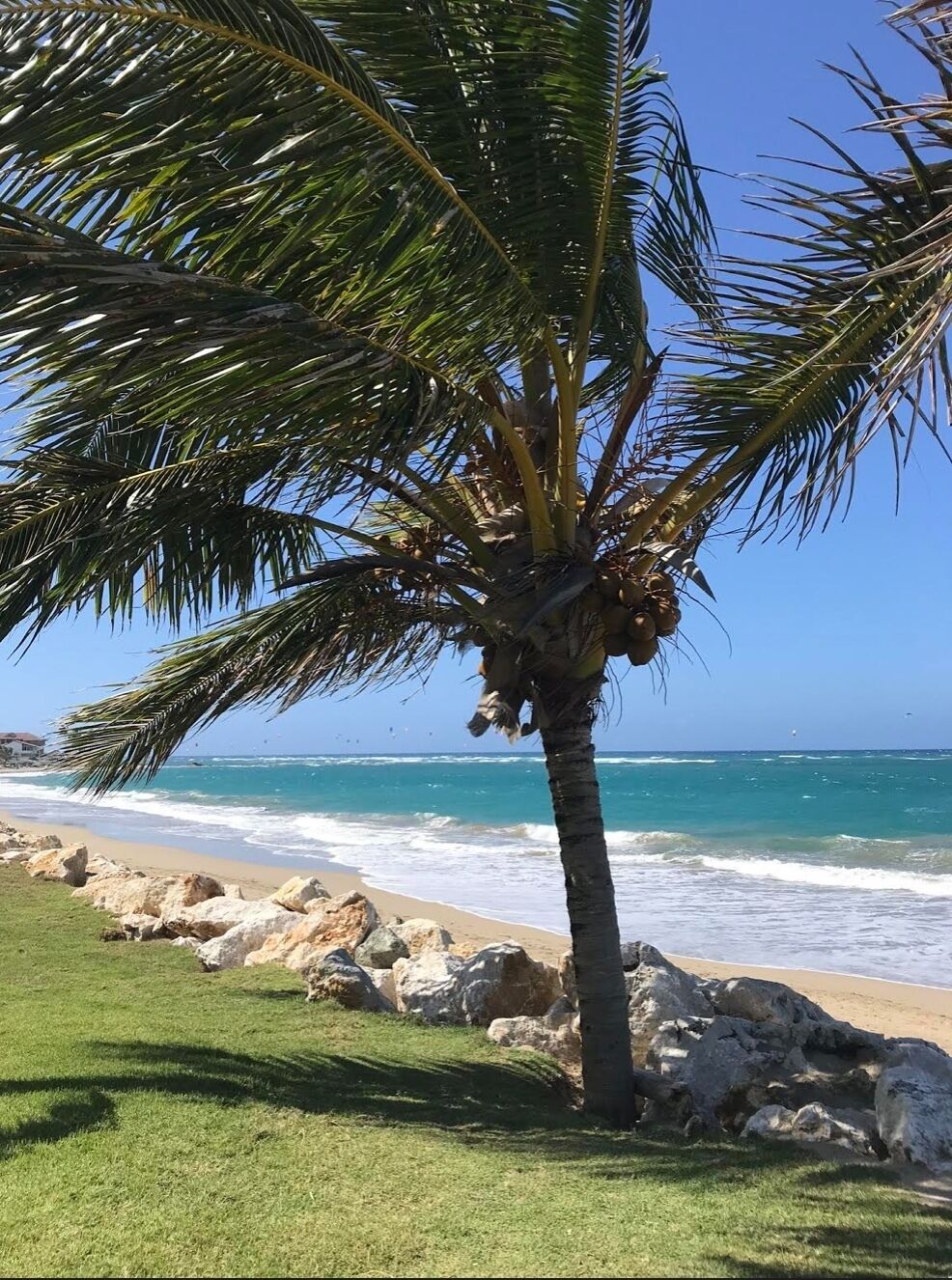 The warm beaches of Cabarete are not to be missed. Known for its miles of pristine  warm waters and wind, it's the perfect destination for kite and wind surfers or the traveler who enjoys off the beaten path beach towns. #LifeAtExpedia