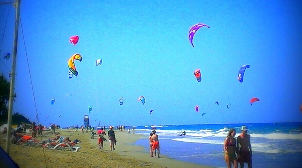 Kites were very popular here!