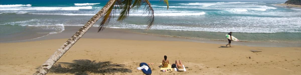 Cabarete showing a beach and tropical scenes