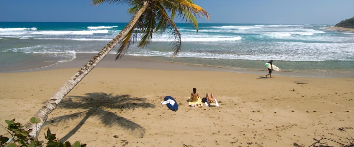Cabarete showing a beach and tropical scenes