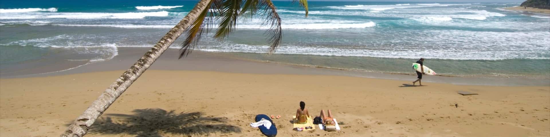 Cabarete showing a beach and tropical scenes