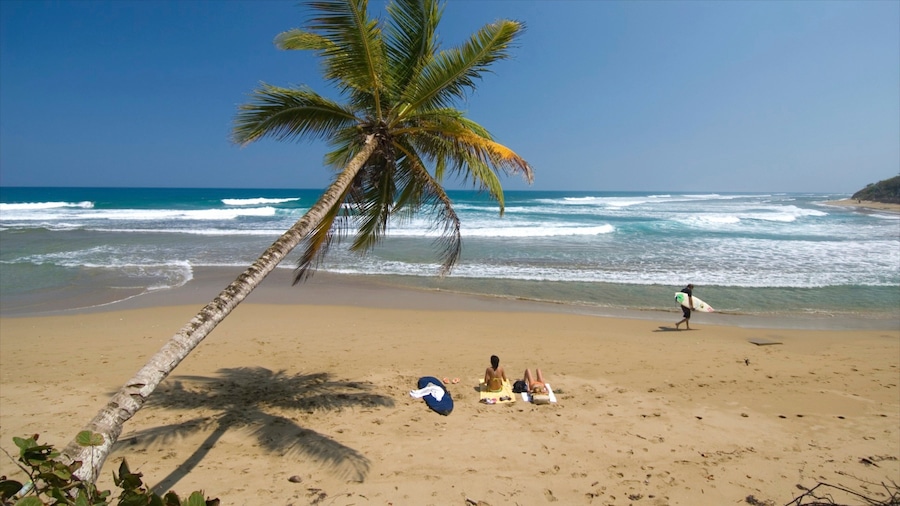 Cabarete showing a beach and tropical scenes