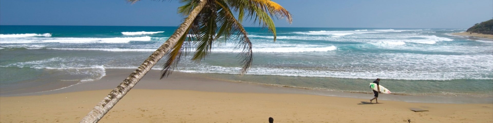 Cabarete showing a beach and tropical scenes