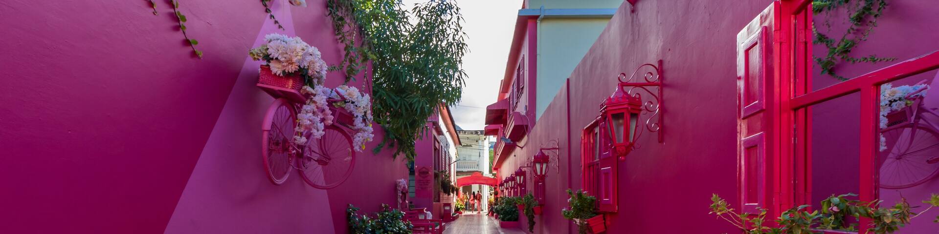 rosa Street, el Paseo de Doña Blanca, Puerto Plata