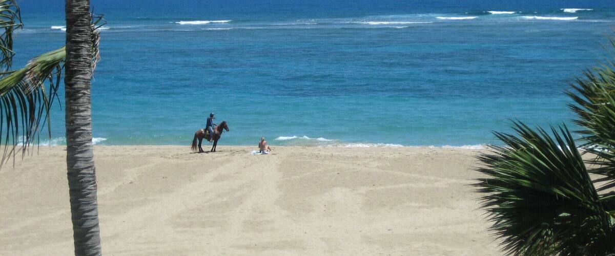 Beautiful water and deserted beaches, except for, you know, the guy on his horse that decided to stop and flirt with the girl in the bikini
#blue.