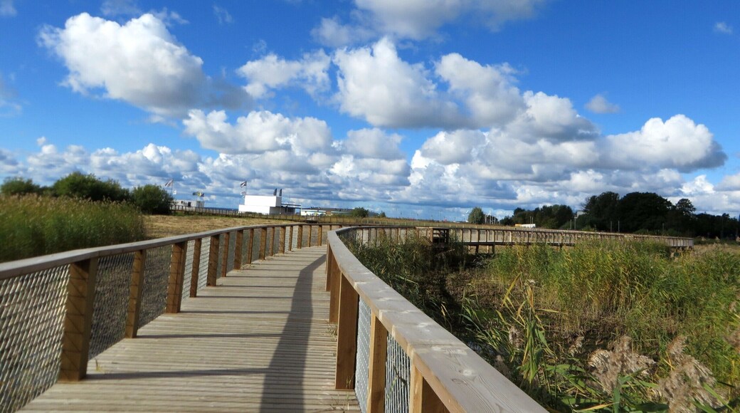 The sky in Parnu was gorgeous. This was the wetlands and wildlife viewing walkway by the water just a short walk from our hotel. There are furry cows that graze along here along with some pretty tough looking crows!
#blue
