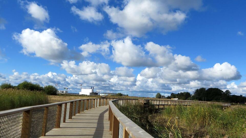 The sky in Parnu was gorgeous. This was the wetlands and wildlife viewing walkway by the water just a short walk from our hotel. There are furry cows that graze along here along with some pretty tough looking crows!
#blue