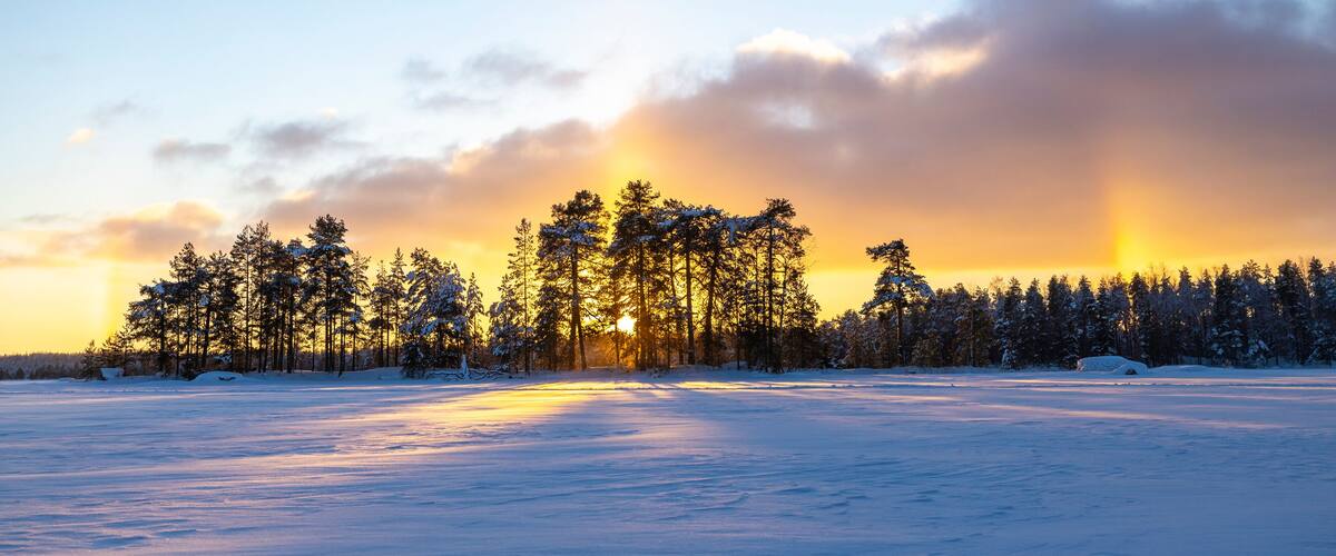 A snowy landscape with a forest at sunset.