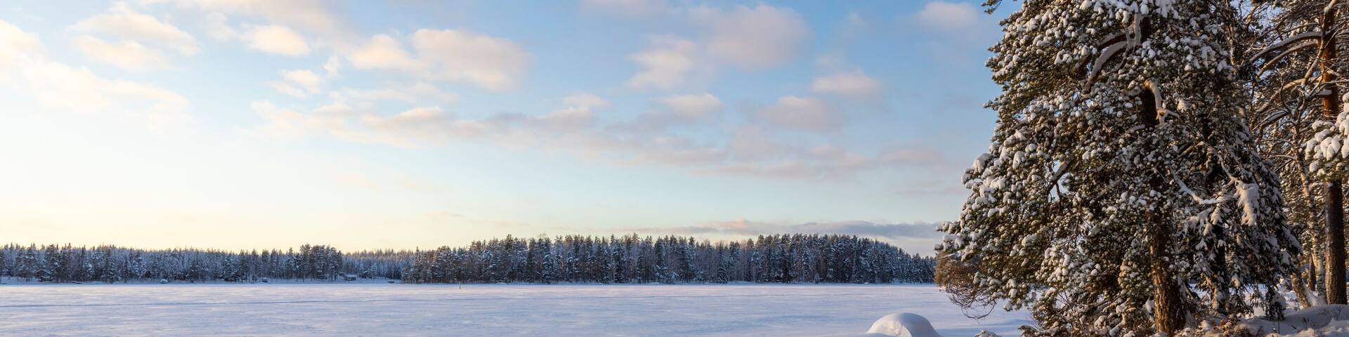 A snowy landscape with a clear sky, a frozen lake, and snow-covered trees.