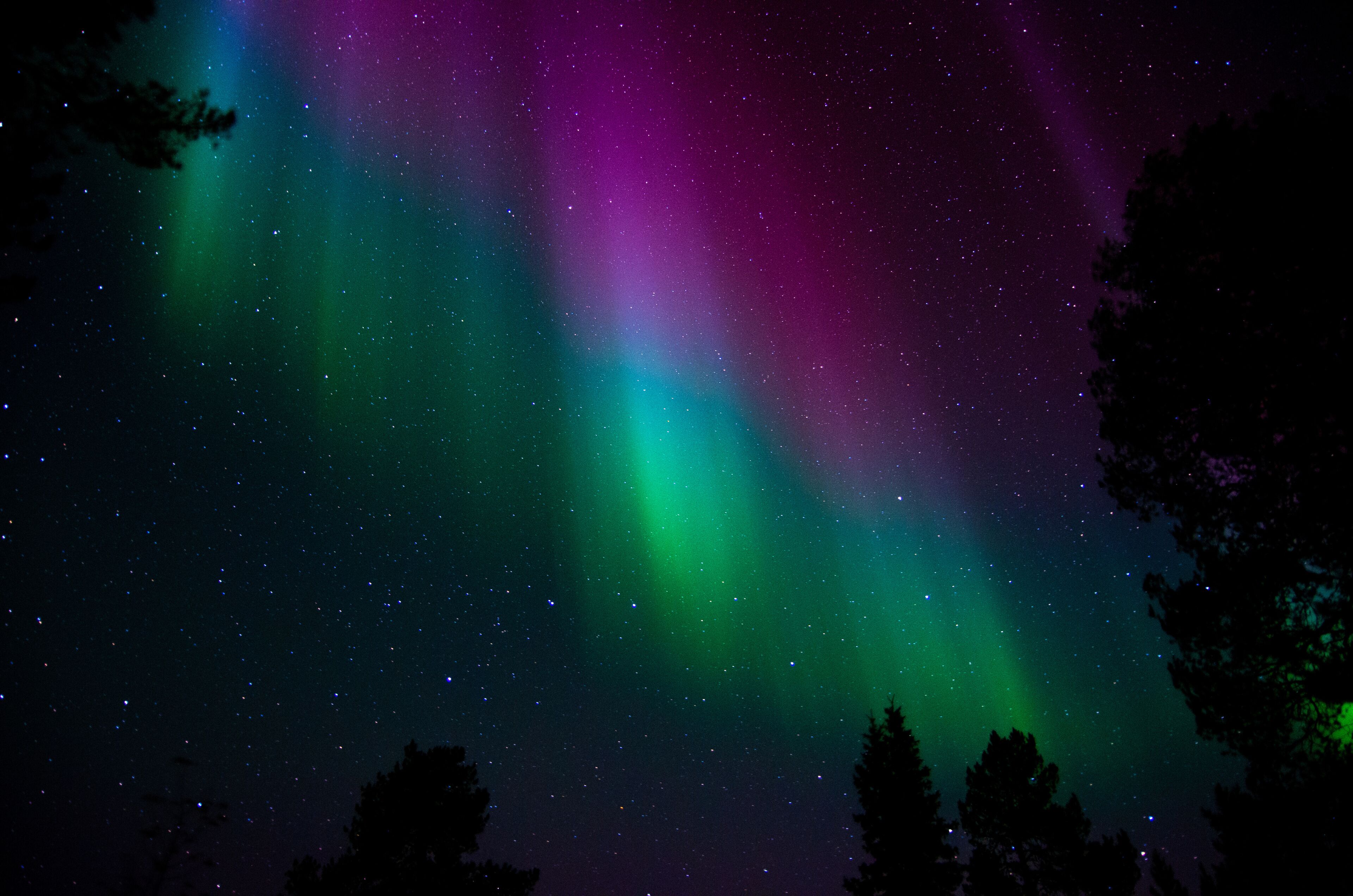 Aurora borealis, northern lights in Lapland, Finland, Levi.