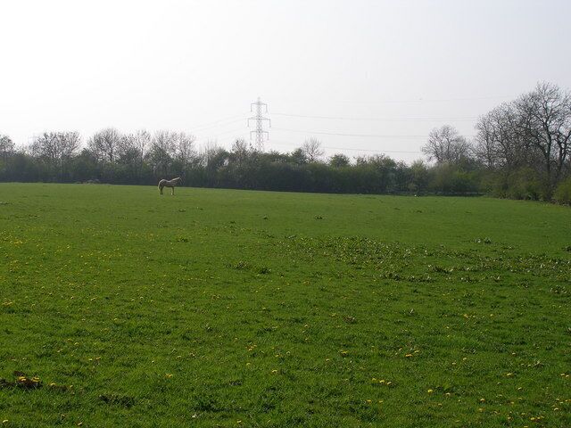 Across the fields to the ancient A19, now a lane. I was standing on the disused dual carriageway of the A19 which originally went through Billingham. The hedge across the picture marks the route of the original A19 which went through Wolviston.