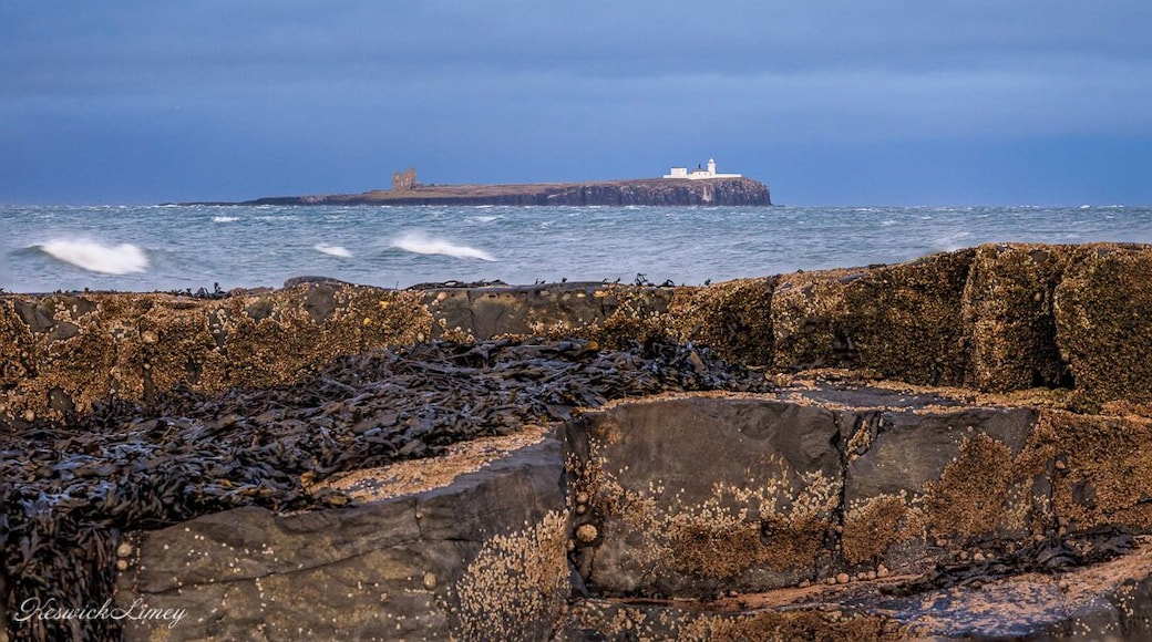 A view of the Farne Islands from the beach at Bamburgh.
These islands are a bird sanctuary that are well worth a visit.