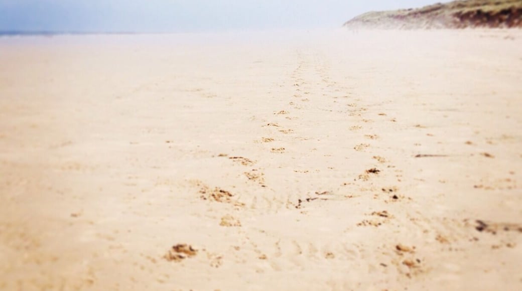 Bamburgh beach, Northumberland.