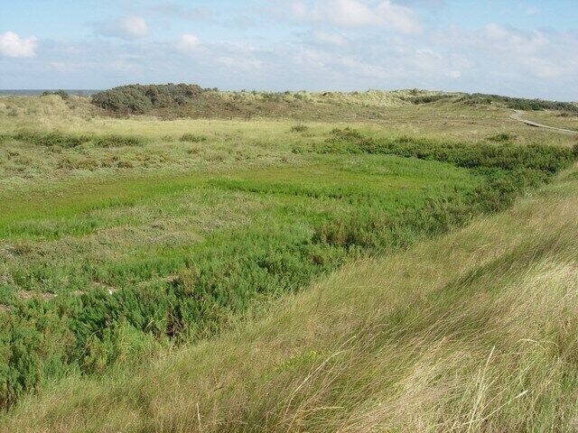Small saltmarsh Vegetation has colonised this area in the last ten years.
