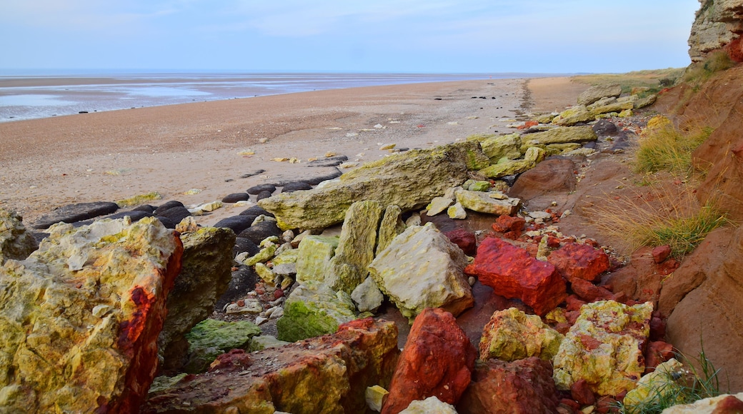 Colorful stones are really astonish