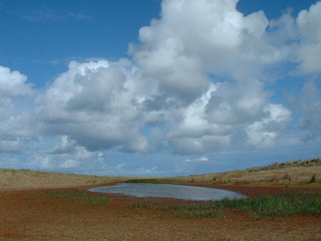 Pool behind the dunes A fine early autumn day showing the coastal vegetation behind the seaward facing dunes on the left of the picture.