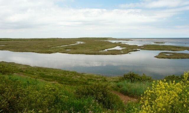Thornham Staithe High tide.