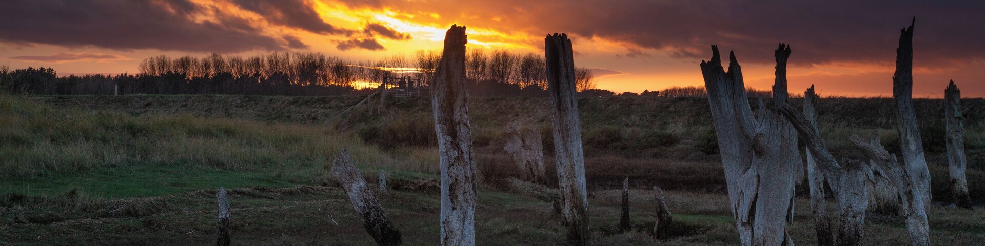 Great for walking, photography and birdwatching .