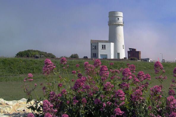 A lighthouse with a white cylindrical tower, a small adjacent building, and purple flowers in the foreground.