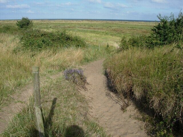 Path entering dunes Very old dunes here, inland of a mature saltmarsh but they are still liable to erosion as walkers climb up onto them.