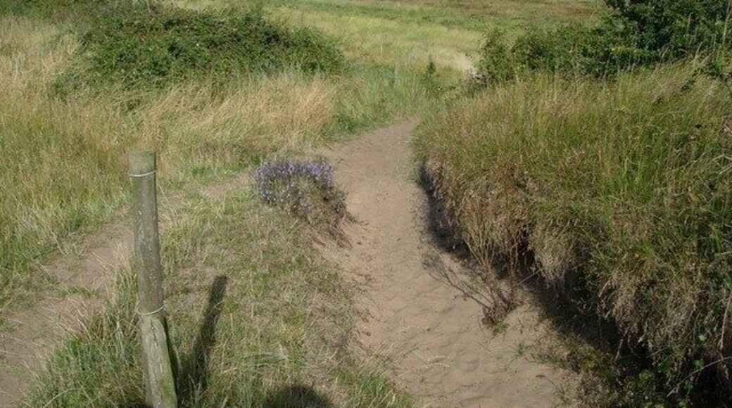 Path entering dunes Very old dunes here, inland of a mature saltmarsh but they are still liable to erosion as walkers climb up onto them.
