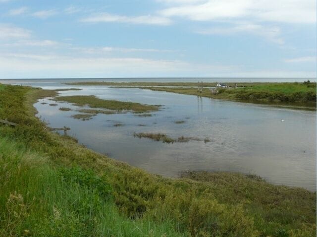 A river with grassy banks and a clear sky.