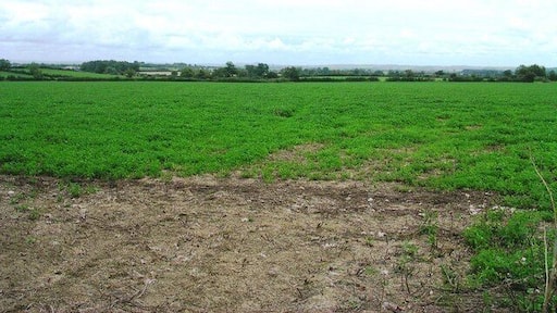 Bondip Hill facing East View from lay-by on Bondip Hill facing east across fields