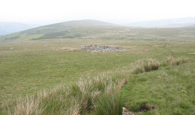 A ruin on the frith This ruined building could have been a shepherd's hut, a barn or a building associated with the small slate quarries on the north side of Nant Esgeiriau.