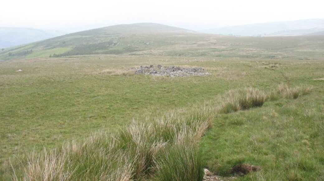 A ruin on the frith This ruined building could have been a shepherd's hut, a barn or a building associated with the small slate quarries on the north side of Nant Esgeiriau.