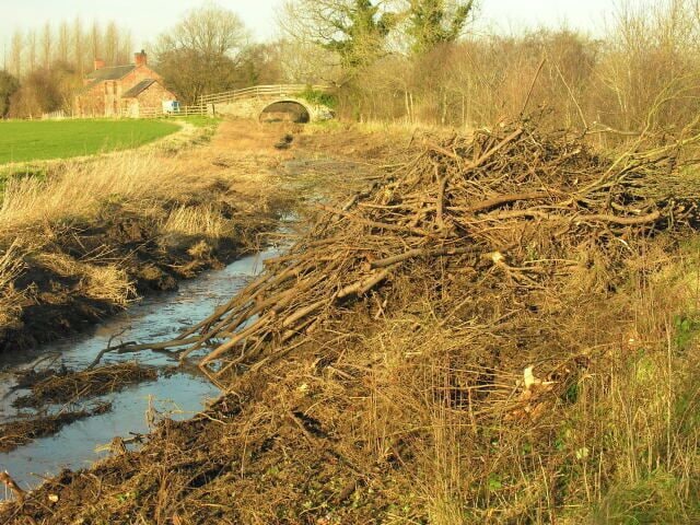 A rural landscape with a muddy stream, a pile of branches, and a stone bridge in the background.