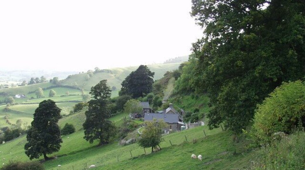 Houses at Geufron Tucked in under Mynydd Lledrod these south east facing houses seem to be hanging on the side of the hill.