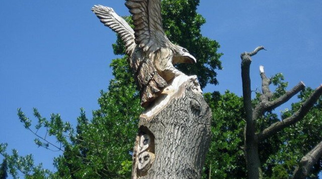 The Eagle is Taking Off In a garden on Bellan Lane, Trefonen someone has done some pretty impressive wood carving on the stump of a tree. Apologies to Bro' to repeat his geograph, but I thought this one deserved a close up.