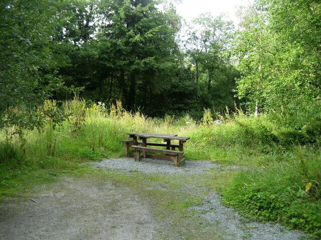 Una mesa de picnic de madera en un área cubierta de césped, rodeada de árboles.