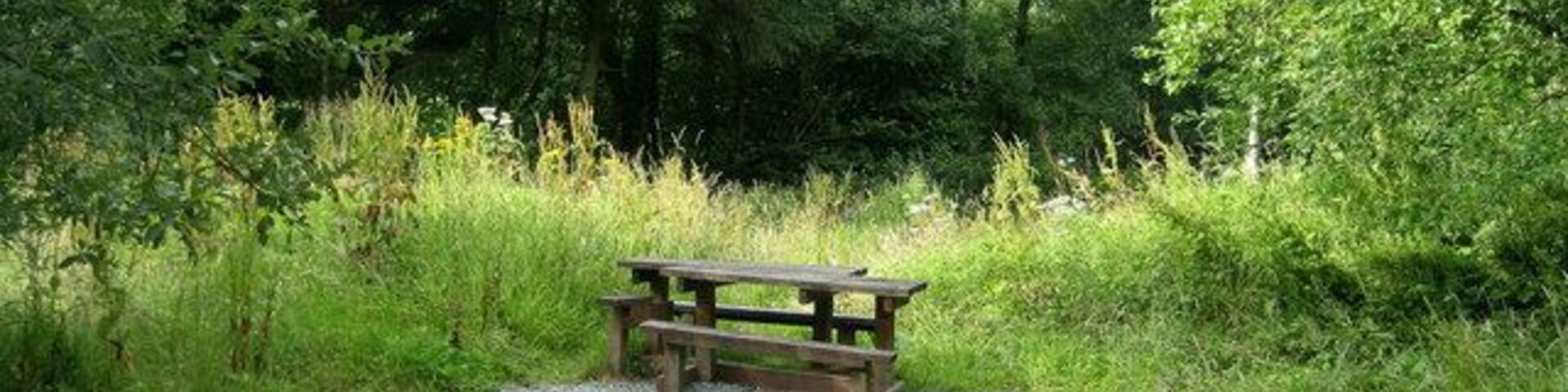 Una mesa de picnic de madera en un área cubierta de césped, rodeada de árboles.