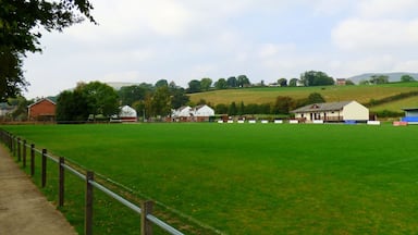 The Recreation Field.