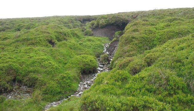 Seasonally dried up headwater of a tributary of Nant Esgeiriau