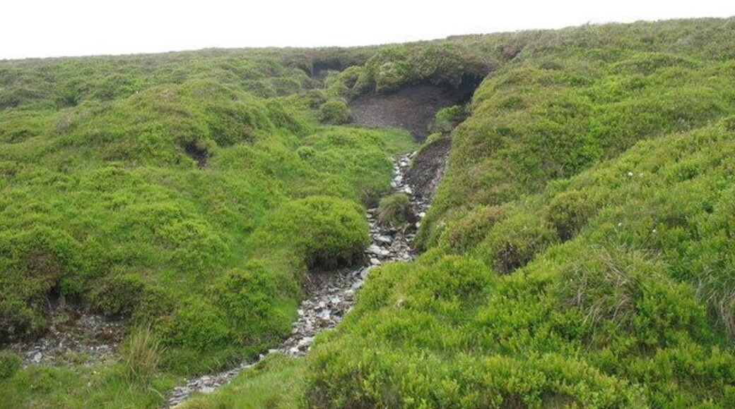 Seasonally dried up headwater of a tributary of Nant Esgeiriau
