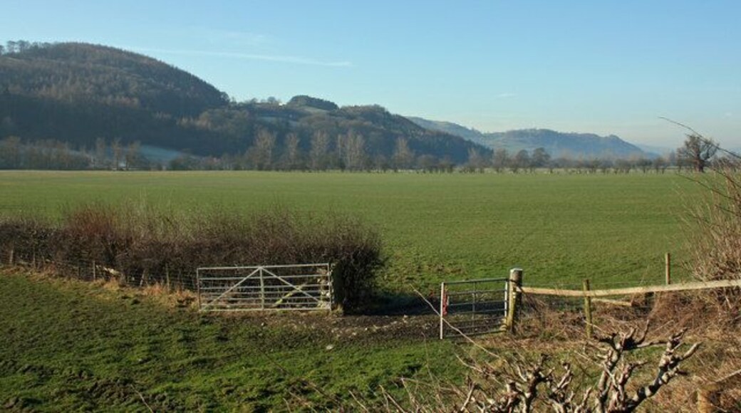 Hill View View from B4396 West across River Tanant flood plain towards Coed Pen-isa'r-mynydd.