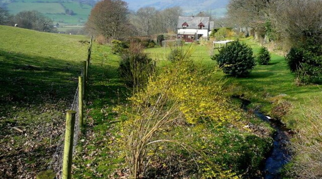 Idyllic house near Pen-y-ceunant Looking north over the Tanat valley above Penybontfawr.
