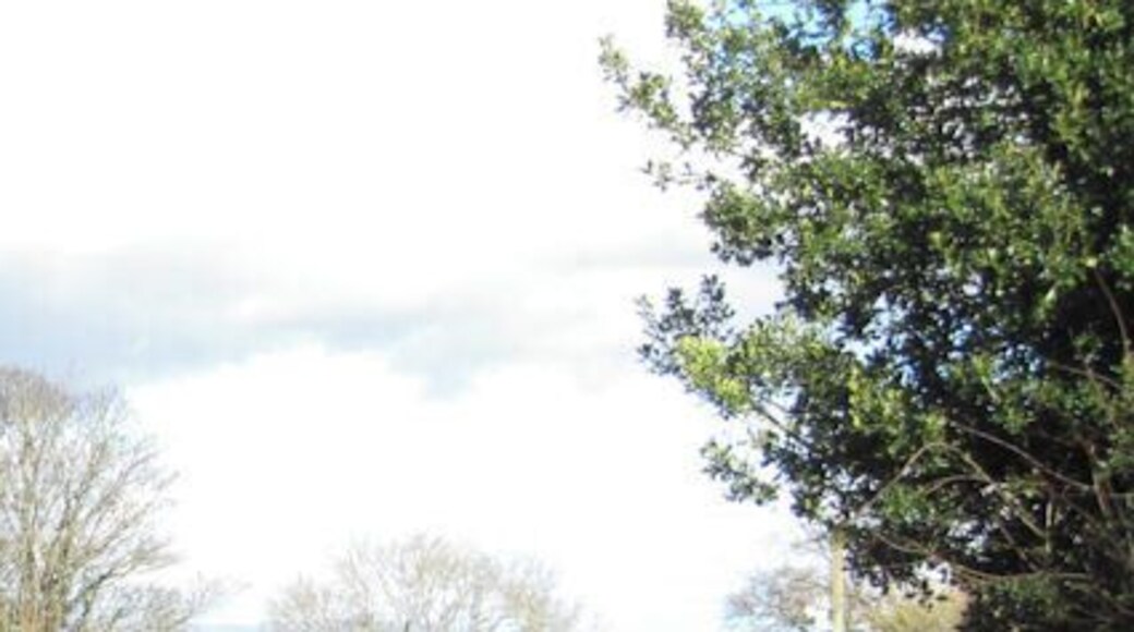 Entrance drive to White House