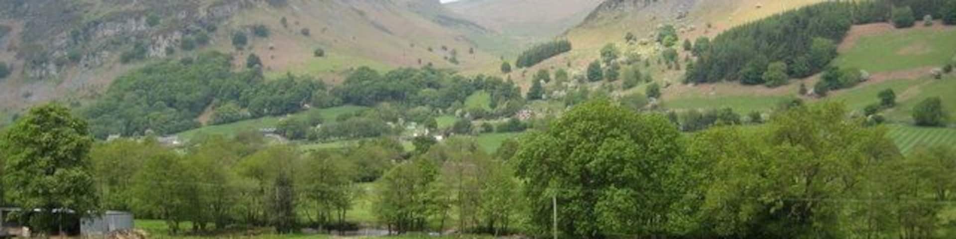 A green field with trees and hills in the background.