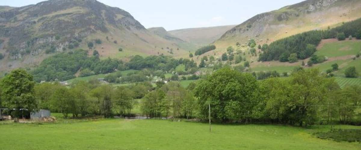A green field with trees and hills in the background.