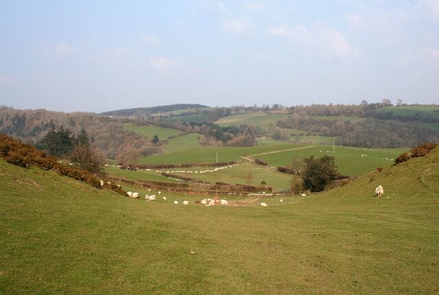 View towards Baker's Hill View across the valley towards Baker's Hill showing the mixture of sheep pasture and conifer plantation. The road from Rhydycroesau (middle distance) turns into a track around 200m west (left) of here. View from the public footpath from the road between Rhydycroesau & Cefn Canol