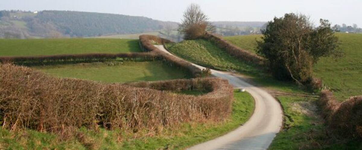 Lane from Rhydycroesau This steep single-track lane winds its way from the village of Rhydycroesau; around 150m west of here it becomes a track. To the left Baker's Hill forms the backdrop. The public footpath to the lane between Rhydycroesau & Cefn Canol joins the lane on the right