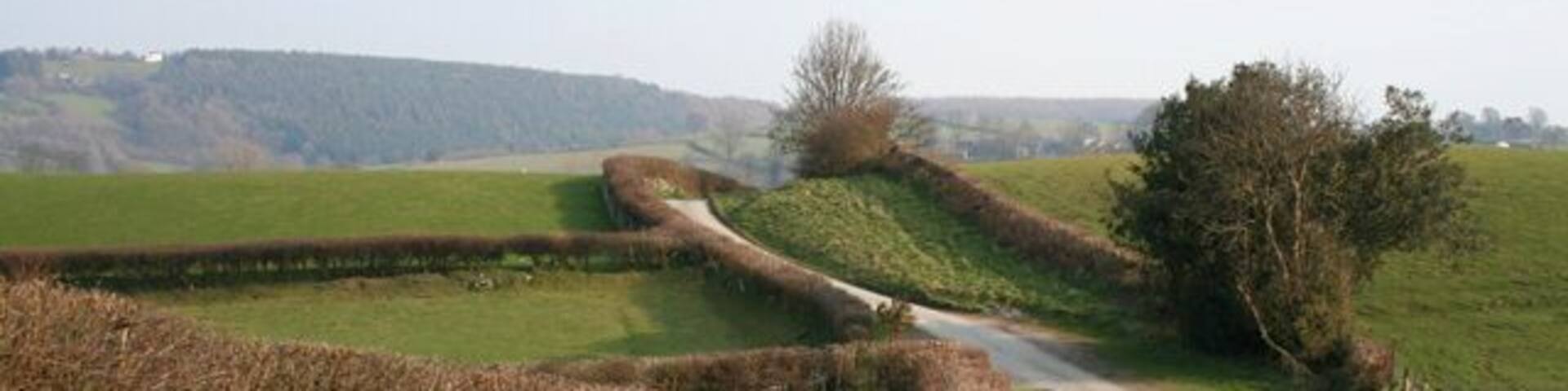 Lane from Rhydycroesau This steep single-track lane winds its way from the village of Rhydycroesau; around 150m west of here it becomes a track. To the left Baker's Hill forms the backdrop. The public footpath to the lane between Rhydycroesau & Cefn Canol joins the lane on the right