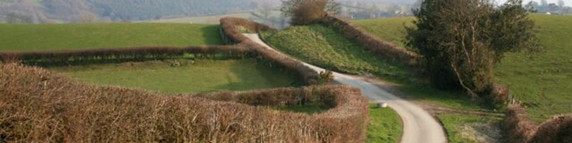Lane from Rhydycroesau This steep single-track lane winds its way from the village of Rhydycroesau; around 150m west of here it becomes a track. To the left Baker's Hill forms the backdrop. The public footpath to the lane between Rhydycroesau & Cefn Canol joins the lane on the right
