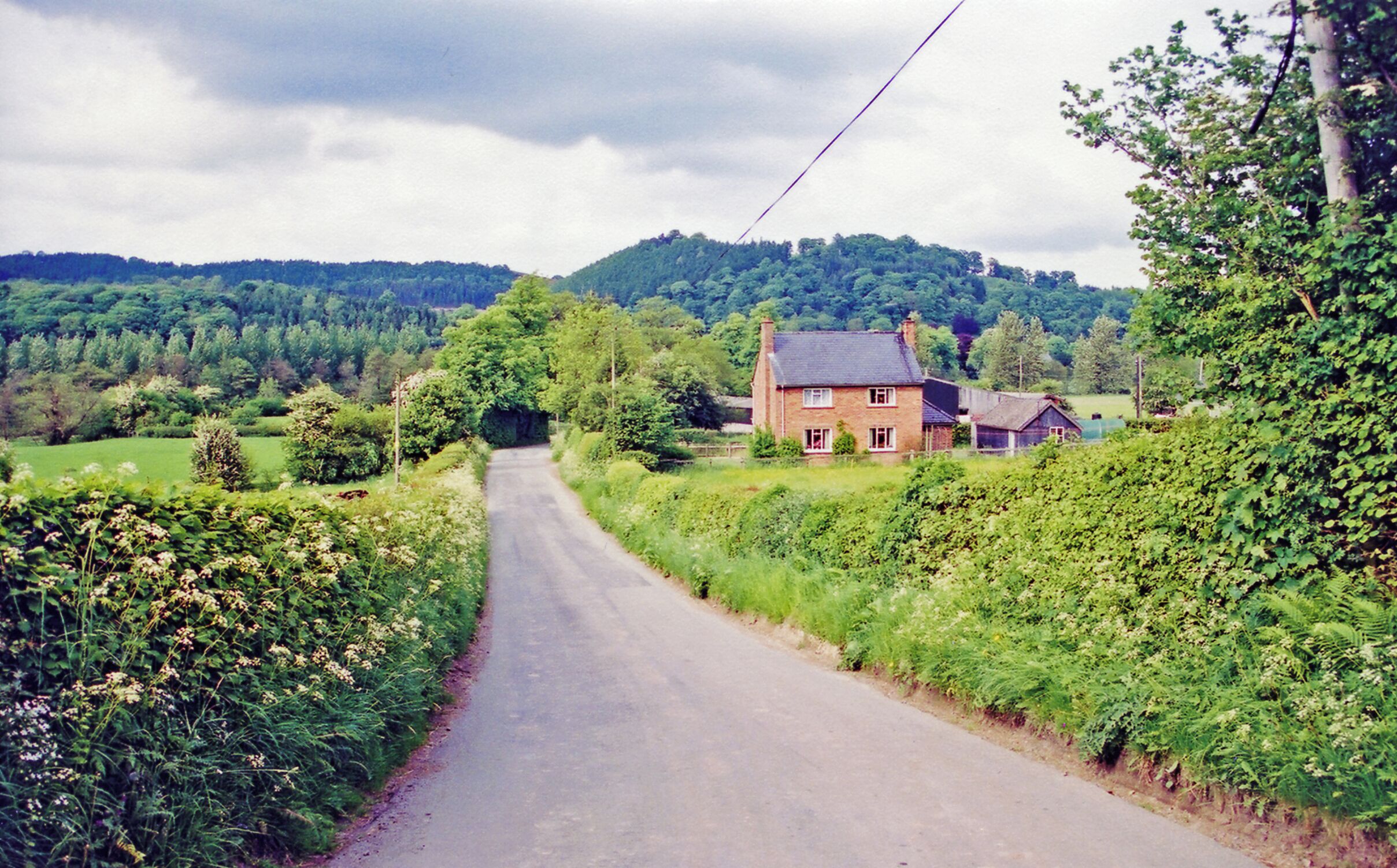 A rural road leading to a house surrounded by lush greenery and hills.