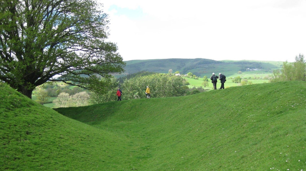 Sycharth, Motte and Bailey Castle, Llansilin, Powys
